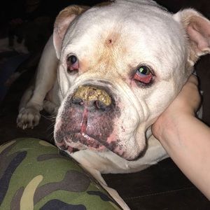 Meet your Posher, Kendra